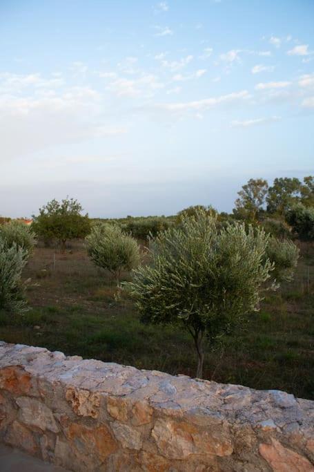 Hébergement de vacances Ariadnis Spacious 3bd Home, 10 Mins To Airport, Port, *