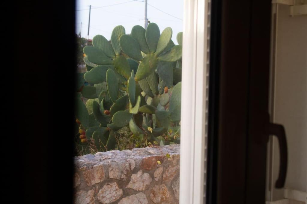 Tatil Evi Ariadnis Spacious 3bd Home, 10 Mins To Airport, Port, Artemida (Attica)
