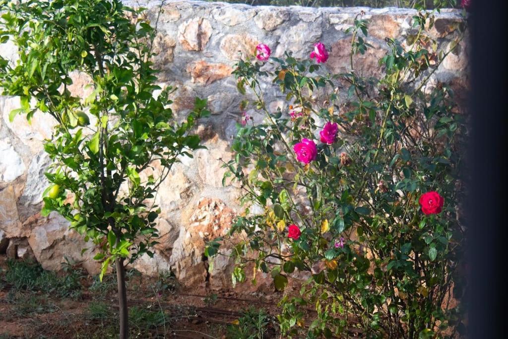 Ariadnis Spacious 3bd Home, 10 Mins To Airport, Port, Artemi