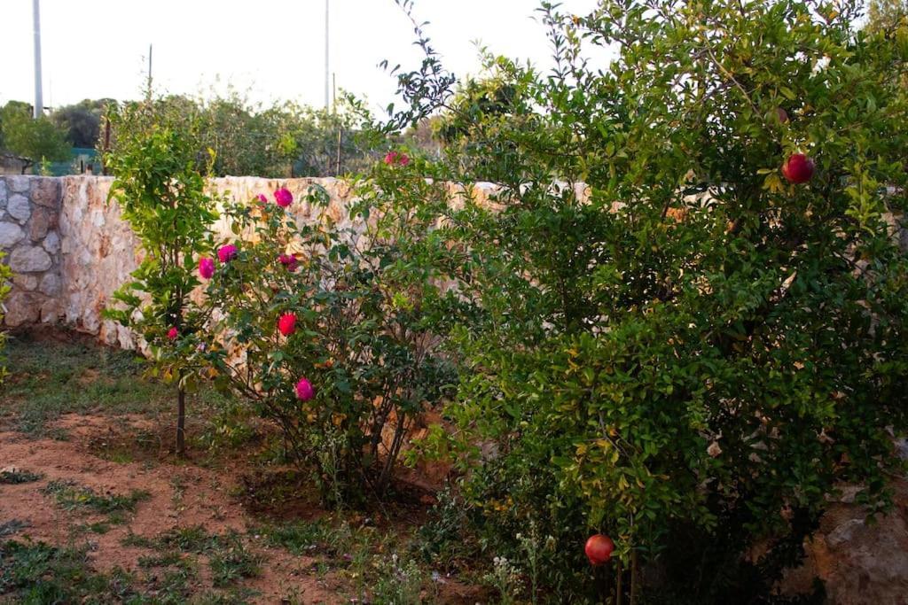 Hébergement de vacances Ariadnis Spacious 3bd Home, 10 Mins To Airport, Port, *